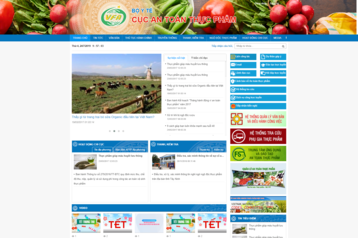 Mẫu website cục, chi cục