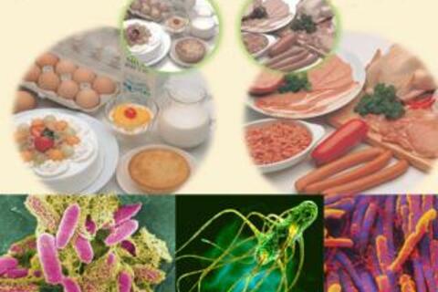 Điều tra, xác minh thông tin và tăng cường phòng chống ngộ độc thực phẩm tại Hà Nội