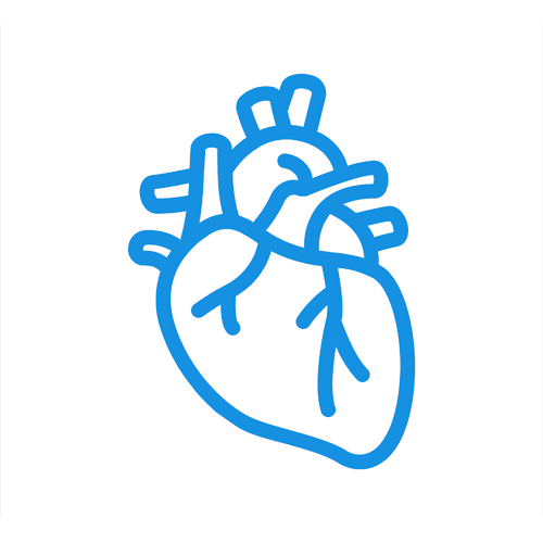 Khám, tầm soát & điều trị bệnh lý mạch máu